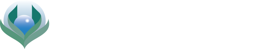 2mag AG logo